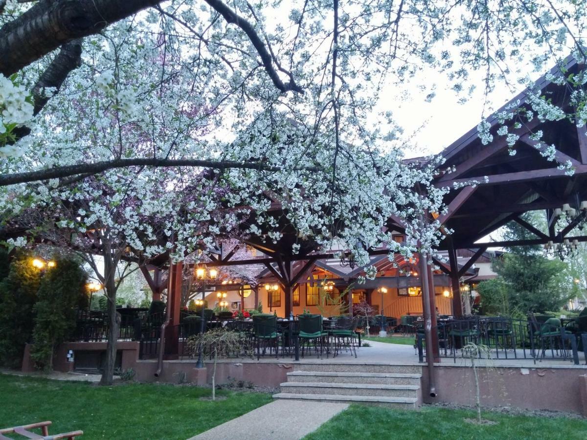 Little Texas Iasi Hotel Екстериор снимка